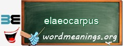 WordMeaning blackboard for elaeocarpus